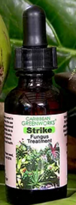 STRIKE FUNGUS TREATMENT, 1oz